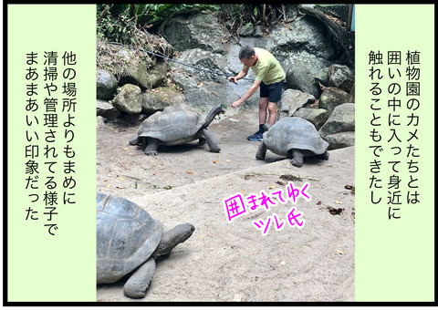 セーシェルゾウガメに会いたくて 終 蓼食う虫もテキサス Powered By ライブドアブログ セーシェルゾウガメに会いたくて 終 蓼食う虫もテキサス Powered By ライブドアブログ