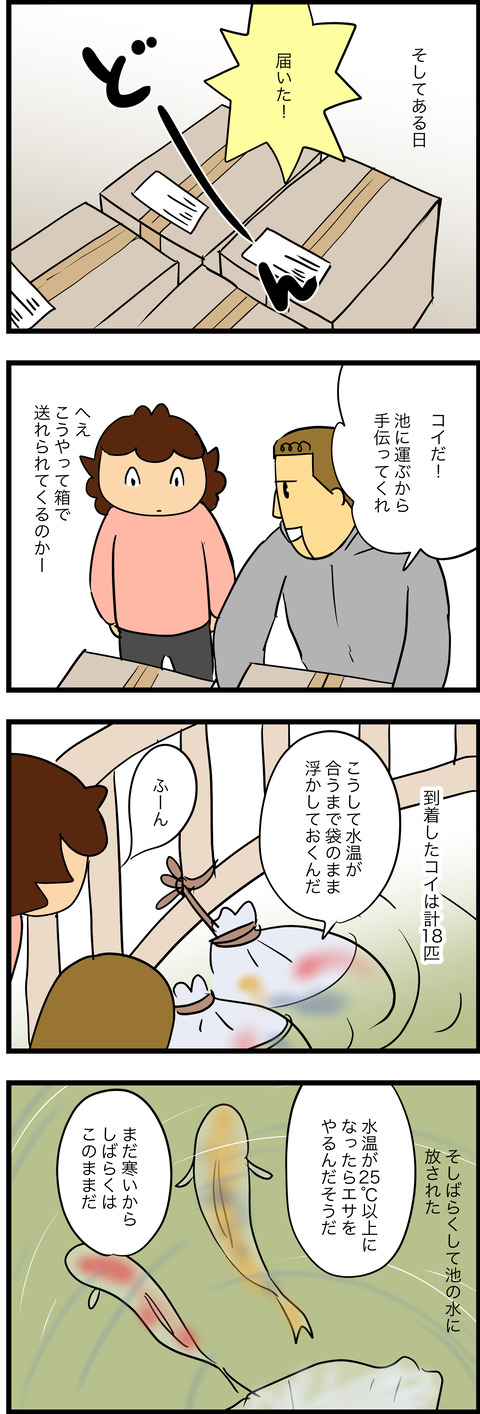 jan302023-7コイ