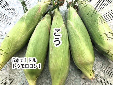 8303EE5F-C308-4FF0-94BE-858176885B0D