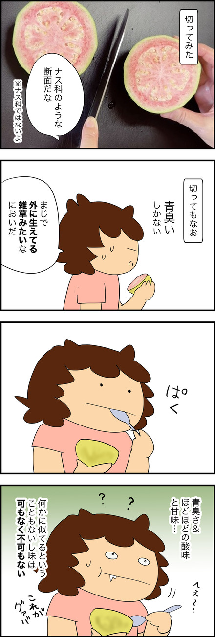 sep262026-2グアバ