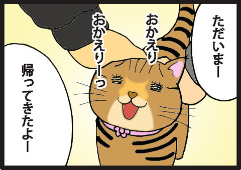 tadaimanekochan1-3-2