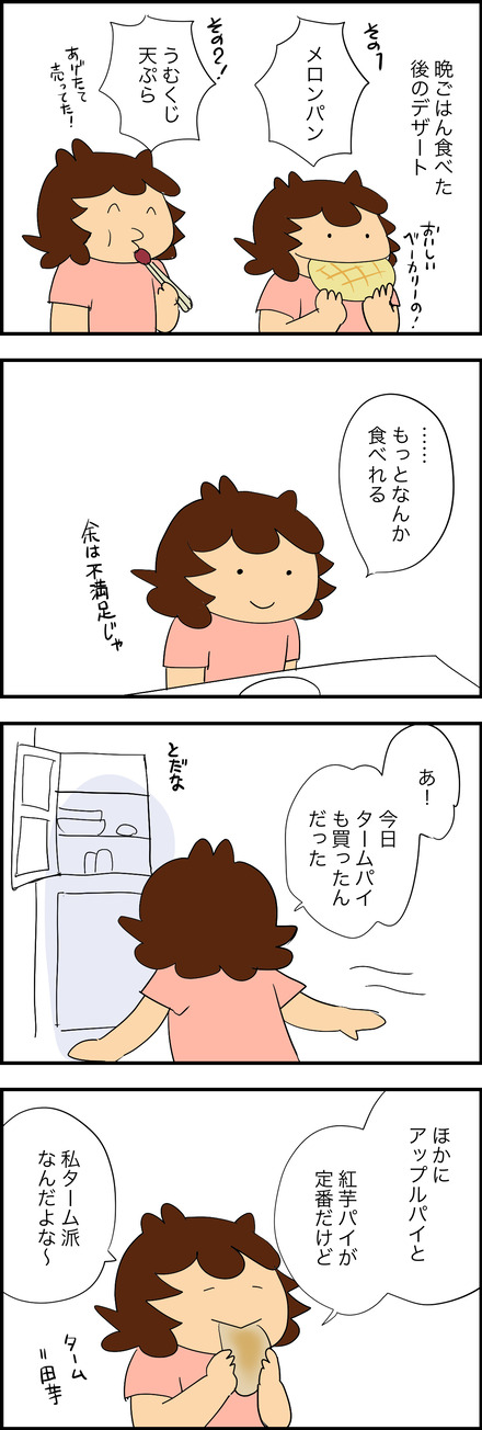 sep112026-1タームパイ