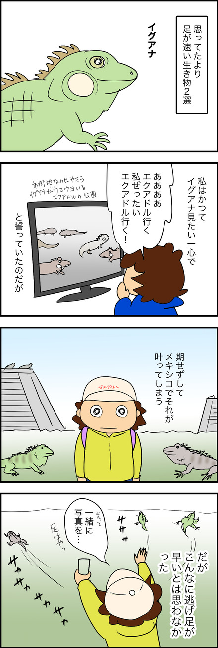 jul312025-1速い