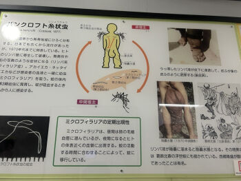 関東11