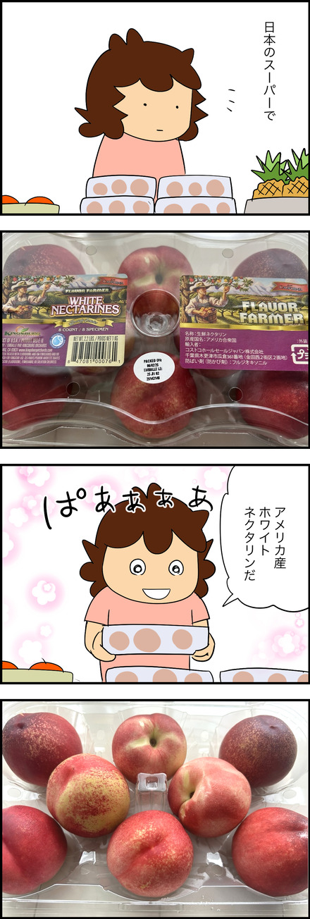 jun172025-1ネクタリン