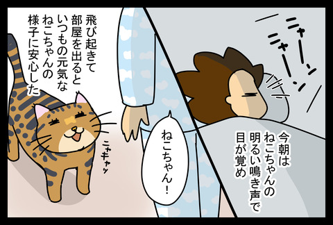 neko20188-3