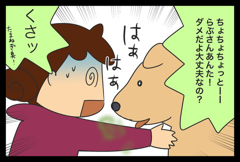 愛犬がタマネギを食べてしまった話 後 蓼食う虫もテキサス 記事コメント 1 Powered By ライブドアブログ 愛犬がタマネギを食べてしまった話 後 蓼食う虫もテキサス 記事コメント 1 Powered By ライブドアブログ
