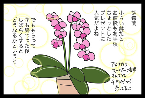 B83B0E61-47F0-4D26-8E95-C32E0FCCB900