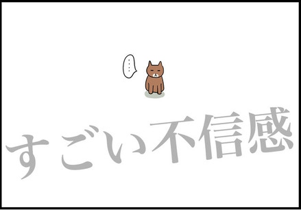 aug222023-3ねこちゃん