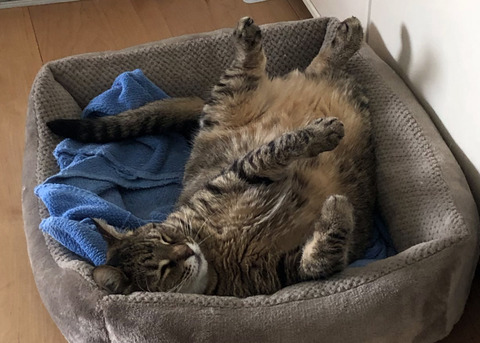 9F933EE9-00E9-43D6-AA5C-C3AE01651EAD