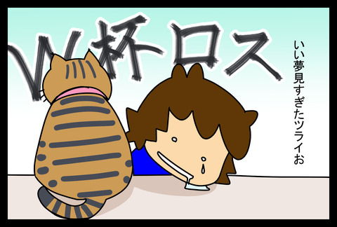wcup1