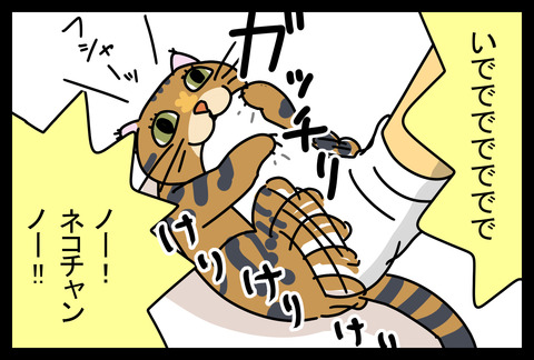 neko20186-3