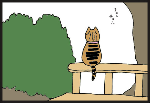 tadaimaneko2-4