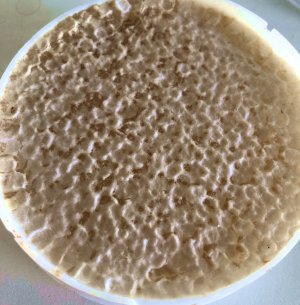 食べたよハチの巣ハチミツ 蓼食う虫もテキサス Powered By ライブドアブログ 食べたよハチの巣ハチミツ 蓼食う虫もテキサス Powered By ライブドアブログ