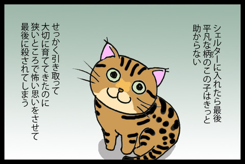 nekochantimitsu4-5