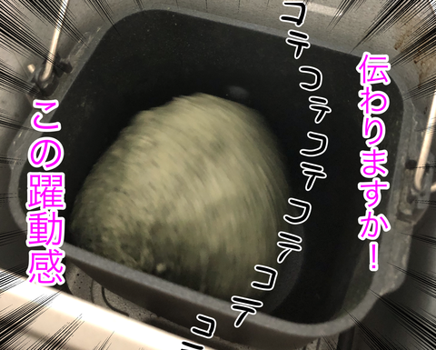 mochip1-3