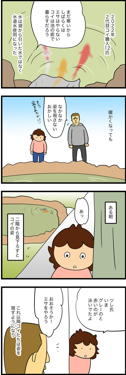 mar032023-1コイ