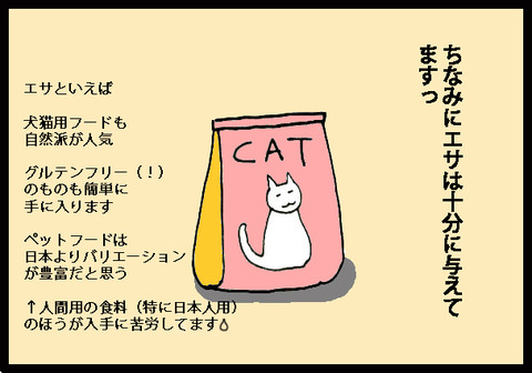 nekochan3-9