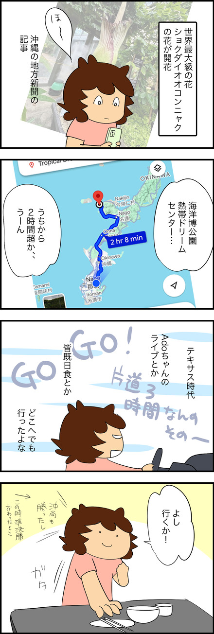 aug232025-1こんにゃく