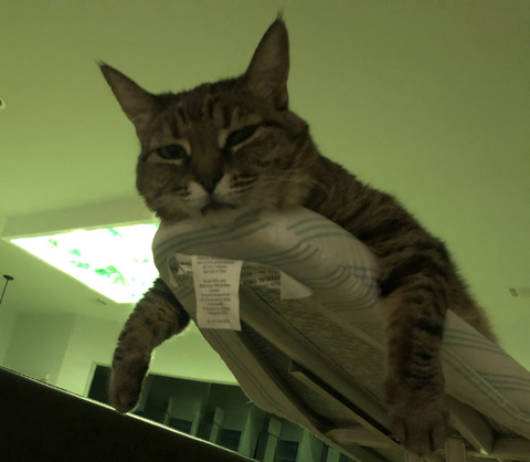 74210169-7EDE-4735-AC78-894136C95698