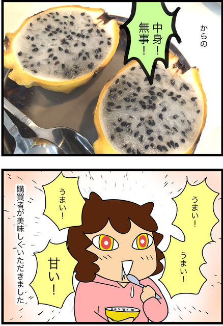 高級フルーツが破格だったんだけど ドラゴンフルーツ 蓼食う虫もテキサス Powered By ライブドアブログ 高級フルーツが破格だったんだけど ドラゴンフルーツ 蓼食う虫もテキサス Powered By ライブドアブログ