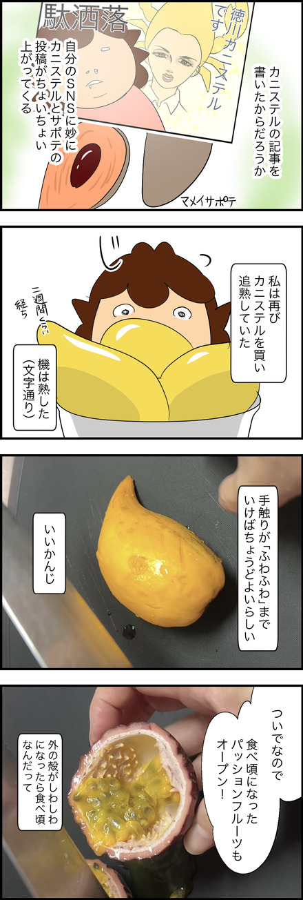 04232026-1カニステル