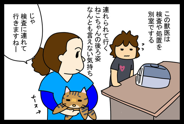 ねこちゃん 病院へ行く 蓼食う虫もテキサス Powered By ライブドアブログ ねこちゃん 病院へ行く 蓼食う虫もテキサス Powered By ライブドアブログ