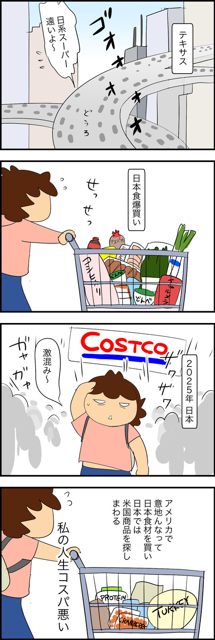 nov232025-1コスパ