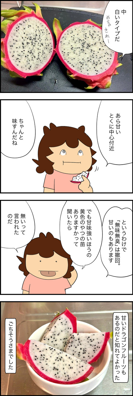 nov0622025-3ドラゴンフルーツ
