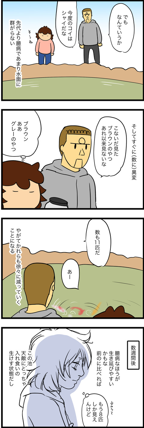 mar032023-2コイ