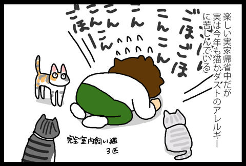 db03eb47-s