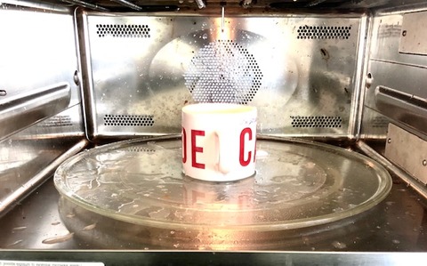 egg6