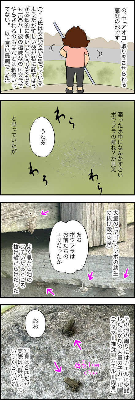 aug202023-1池