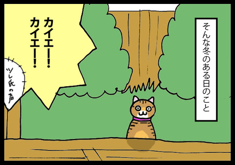 nekochan5-4