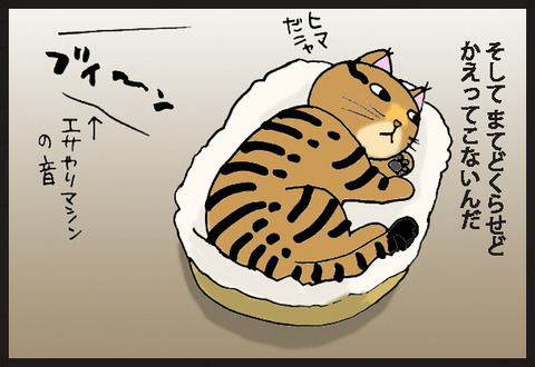 tadaimaneko2-2