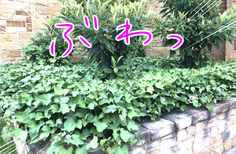 B56EB7B9-D844-4E36-9FC0-EAB1AB8B9988