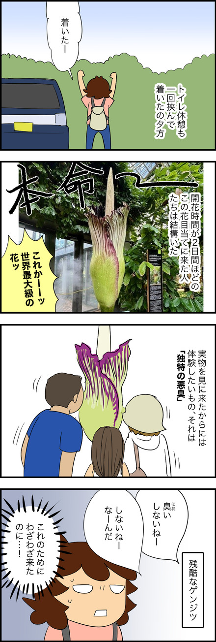 aug232025-2こんにゃく
