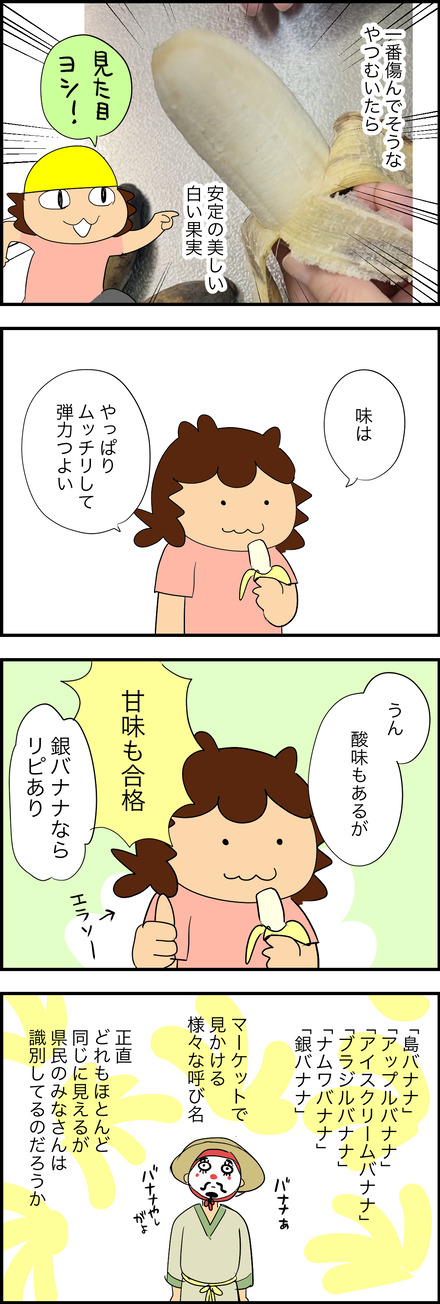 aug112026-3銀バナナ