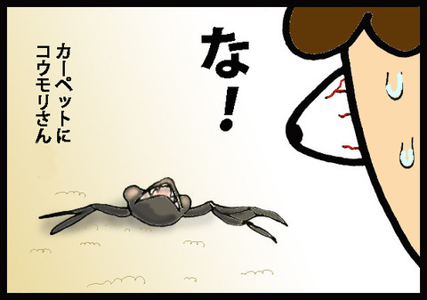 nekochan3-2