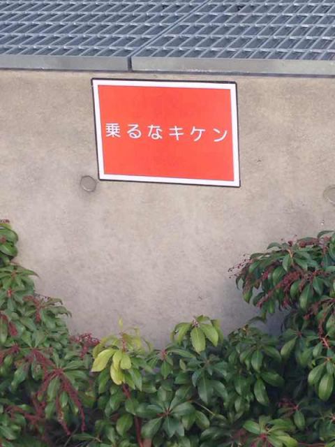 15年1月日のタッチ ロケタ