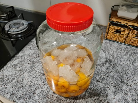 apricot5
