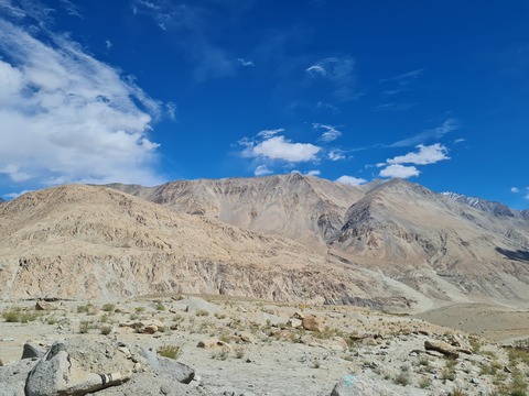 leh11