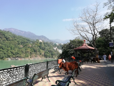 rishikesh3-21