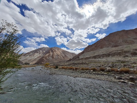 leh12