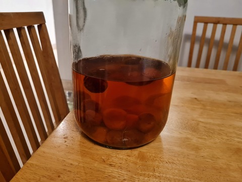 apricot7