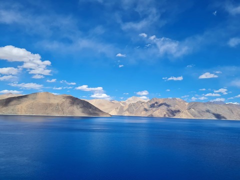 leh20