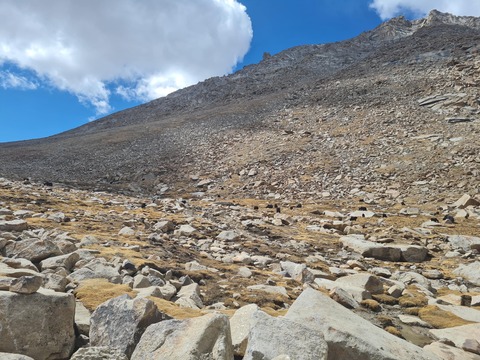 leh10