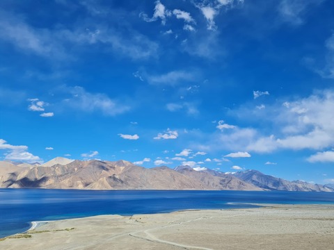 leh21