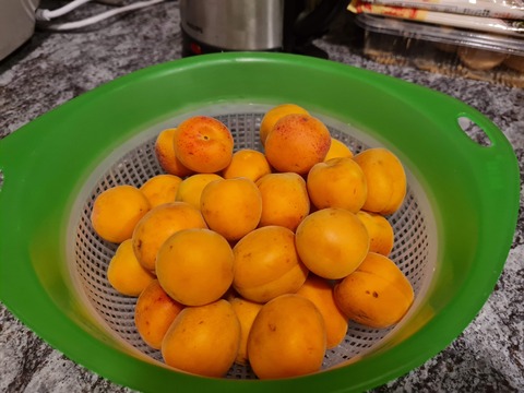 apricot1