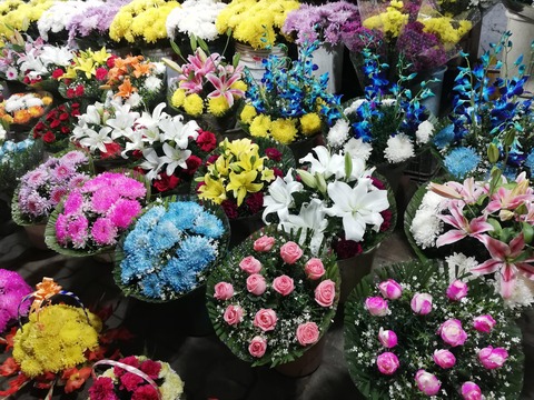 floweshop(3)